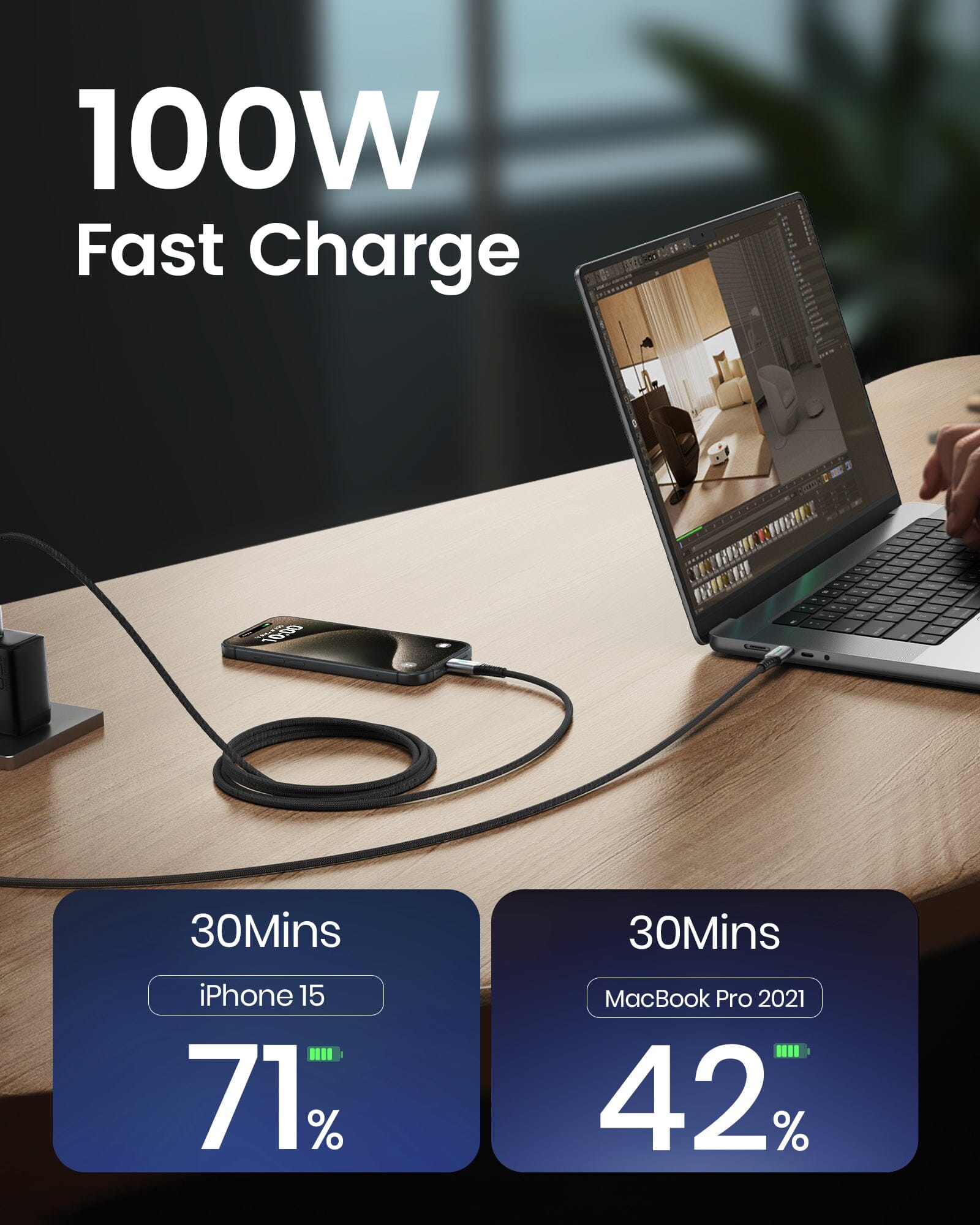 INIU D5CC USB C a C Cable 100W ( 1-Pack)