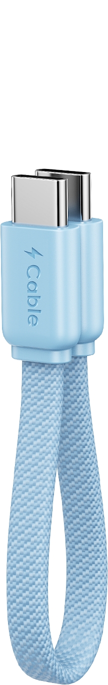<b>Puce E-Marker</b>