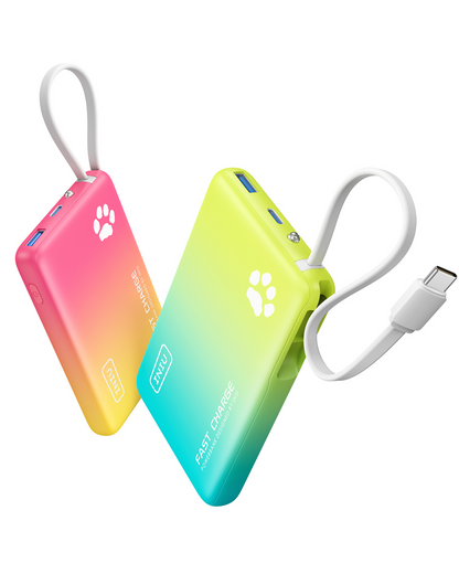 INIU Pawsible P41L-E2 Power Bank sottilissimo 45W 10000mAh (confezione da 2)