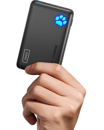 INIU Pawsible P41 Power Bank, Fast Charge, 45W, 10000mAh