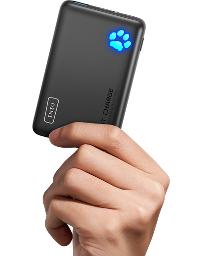 INIU Pawsible P41 Power Bank, ricarica rapida, 22,5 W, 10000 mAh